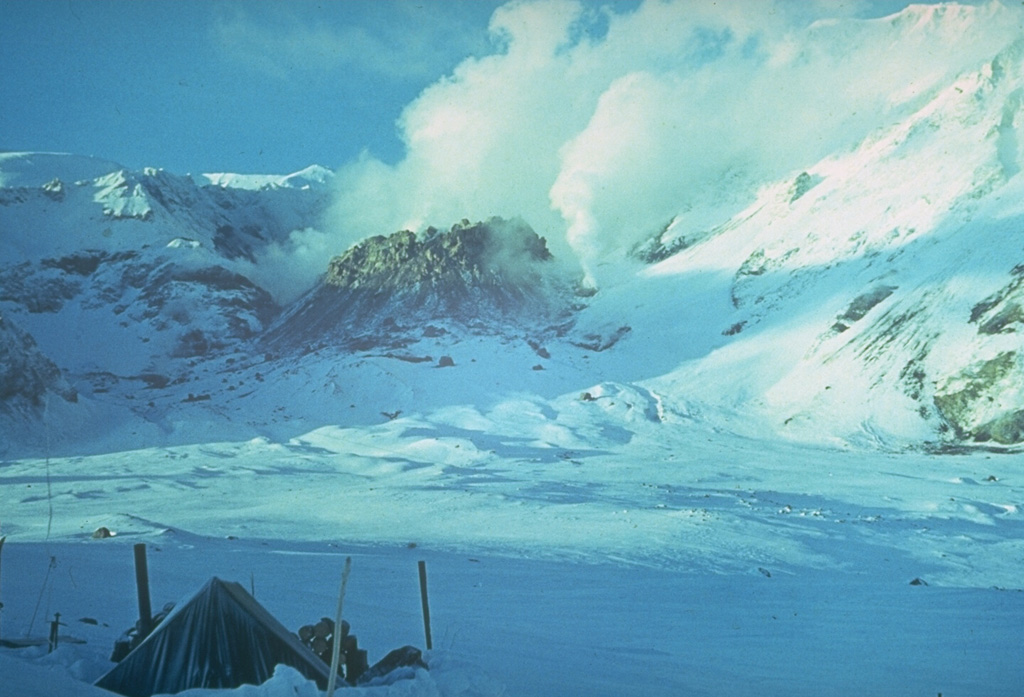 Steam and gases rise from vents on the summit and flanks of a new lava dome that began to grow in 1980 within the 1964 crater of Sheveluch. The northern wall of the 1964 crater appears in the background. By the time the eruption ended in late 1981, the dome had grown to a height of 180 m. Photo by Yuri Doubik (Institute of Volcanology, Petropavlovsk).