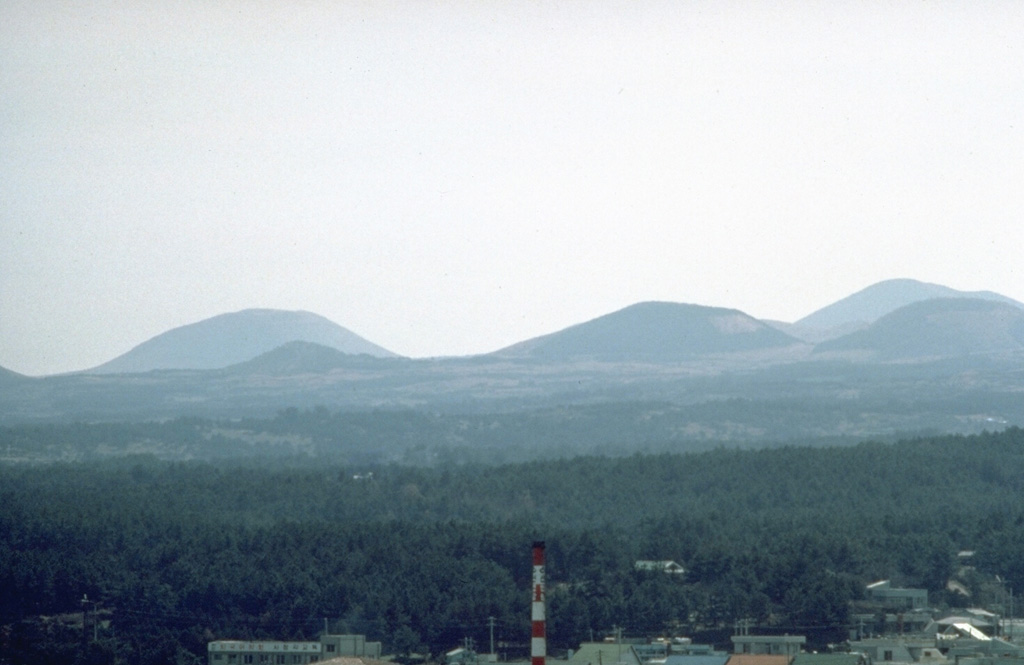 A cluster of scoria cones on the SW rift of Halla shield volcano is part of more than 360 flank cones that were erupted during the third and last stage of activity. Most of the cones were built along the SW-NE-trending rift zone that forms the axis of the island. The basaltic scoria cones are typically 150-200 m in height and are relatively uneroded. Photo by Norm Banks, 1980 (U.S. Geological Survey).