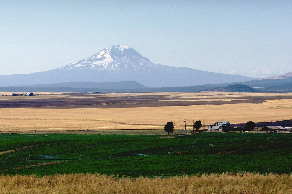 Mount Adams is seen here beyond farmlands on the east side of the Cascades. Mount Adams, known to local tribes as Pahto or Klickitat, featured prominently in tribal legends. The summit was said to have been flattened by a mighty blow from its southern brother, Mount Hood (Wyeast), when the damsel St. Helens (La-wa-la-clough) preferred Adams over Hood. Photo by Lee Siebert, 1982 (Smithsonian Institution).
