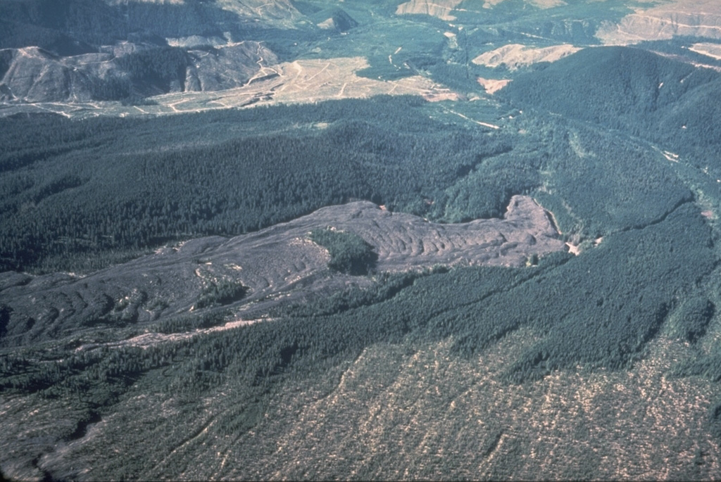 The Floating Island lava flow on the NNW flank of Mount St. Helens, named for an island of trees on the flow, has been dated to 1801 CE using tree-rings. This lava erupted shortly after the major explosive eruption of tephra layer "T" from a vent near the former Goat Rocks lava dome on the N flank. The Floating Island lava flow is now buried beneath the debris avalanche deposit from the 1980 eruption. Photo by Rick Hoblitt, 1978 (U.S. Geological Survey).