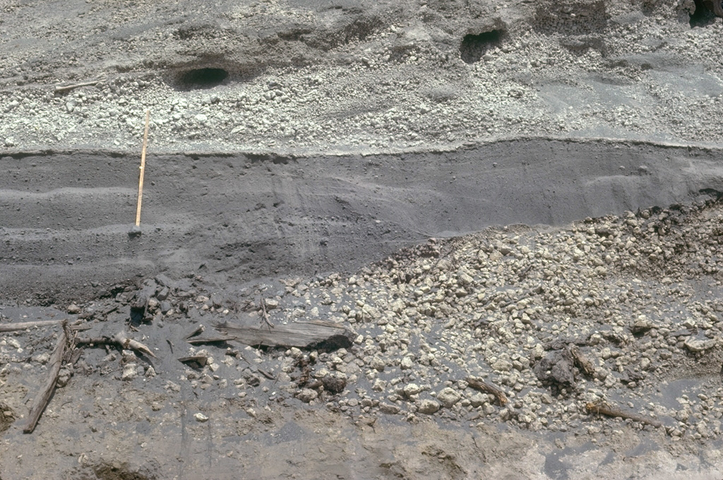 The fine-grained gray layer behind the ruler was produced by the 18 May 1980 lateral blast of Mount St. Helens. The deposit is about 50 cm thick at this location, 13 km NE of the volcano. The blast deposit is overlain by airfall pumice that was erupted later on 18 May and underlain by a pumice deposit from an eruption in 1482 CE. Photo by Lee Siebert, 1982 (Smithsonian Institution).