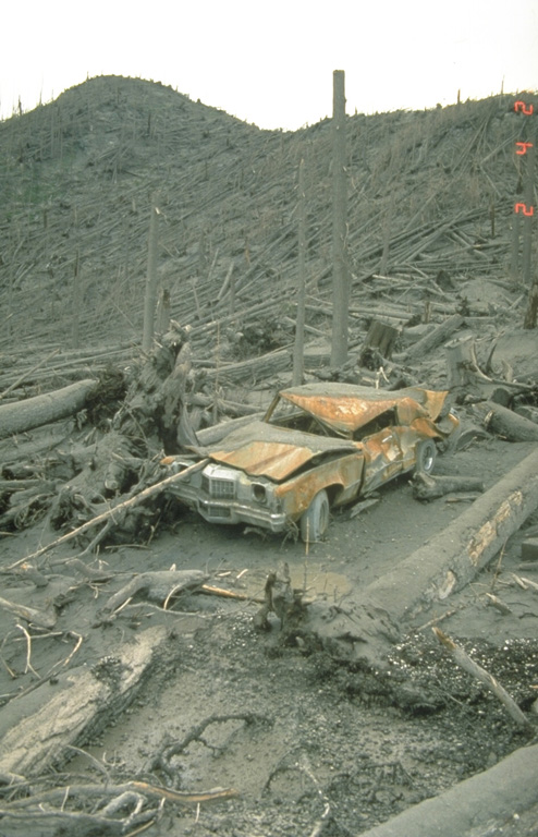 This vehicle was parked near Meta Lake, 13 km NE of Mount St. Helens, within the area affected by the devastating lateral blast of 18 May 1980. Tree blowdown occurred to distances of about 30 km from the volcano. Most of the 57 fatalities caused by the eruption resulted from the lateral blast. Photo by Terry Leighley, 1980 (U.S. Geological Survey).