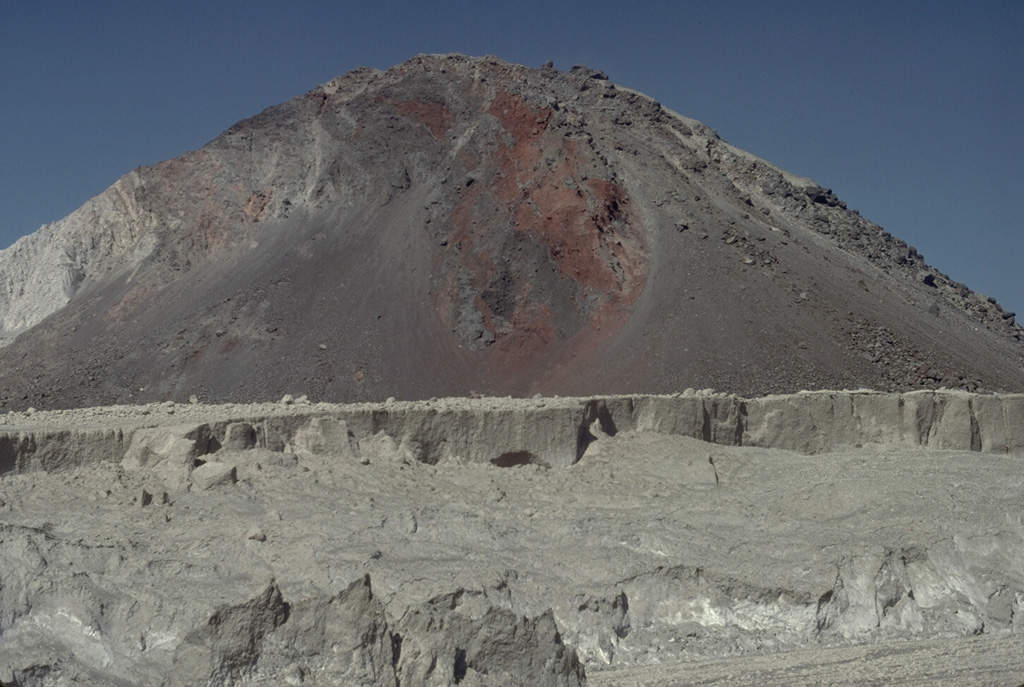 The hill in the background is one of many hummocks forming the surface of the massive debris avalanche deposit produced by collapse of the summit of Mount St. Helens on 18 May 1980. The different colored rocks represent portions of the volcano that were transported relatively intact over great distances. The avalanche traveled 25 km, filling the upper North Fork Toutle River to a maximum depth of nearly 200 m. The lighter-colored rocks in the foreground are pyroclastic flow deposits. Photo by Lee Siebert, 1982 (Smithsonian Institution).