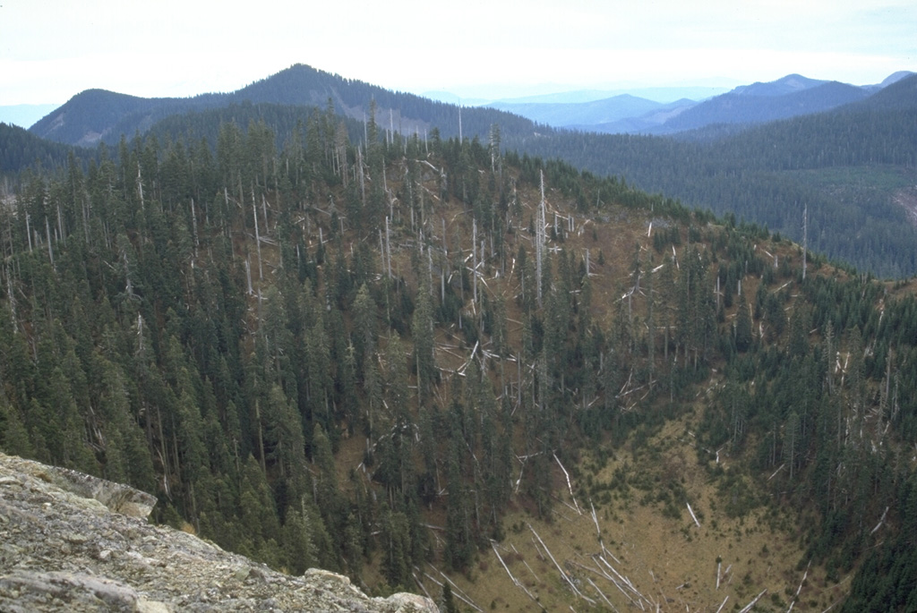 The forest-covered Bare Mountain crater in the foreground is 400 m wide and 275 m deep. It formed about 7,700 years ago during the youngest volcanic eruption in the West Crater volcanic field. West Crater itself is visible 4 km to the south to the extreme right side of the photo. The Bare Mountain phreatic crater formed in older Tertiary volcanic rocks, and unlike other Holocene eruptions in the West Crater area, was not accompanied by lava flows. Photo by Lee Siebert, 1995 (Smithsonian Institution).