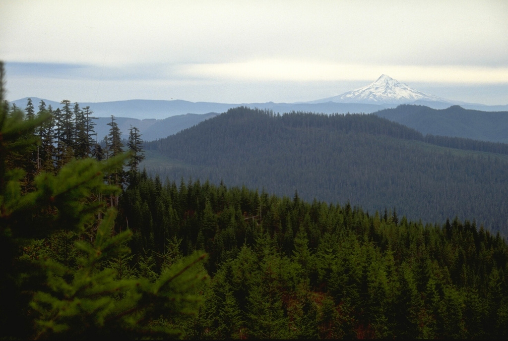 Trout Creek Hill, a small Quaternary shield volcano in the West Crater volcanic field, is seen here from the NW with Mount Hood across the Columbia River in Oregon in the background. Lava flows from Trout Creek Hill traveled 13 km to the SE, reaching the Columbia River. Photo by Lee Siebert, 1995 (Smithsonian Institution).
