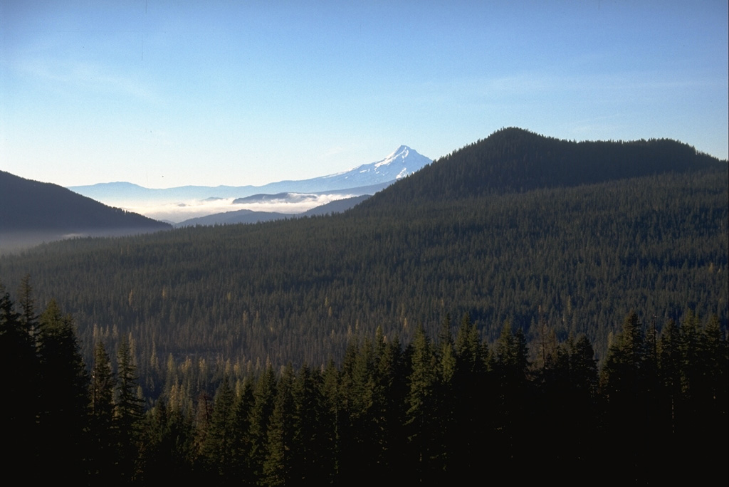 The youngest eruption of the Indian Heaven volcanic field, midway between Mount St. Helens and Mount Adams, produced a large scoria cone and a voluminous lava flow about 9,000 years ago. The source of the flow is the cone to the right, with Mount Hood visible in the background. The Big Lava Bed flow, which forms the slope in the foreground, banked against higher slopes to the north and traveled 13 km S to within 8 km of the Columbia River. Photo by Lee Siebert, 1995 (Smithsonian Institution).