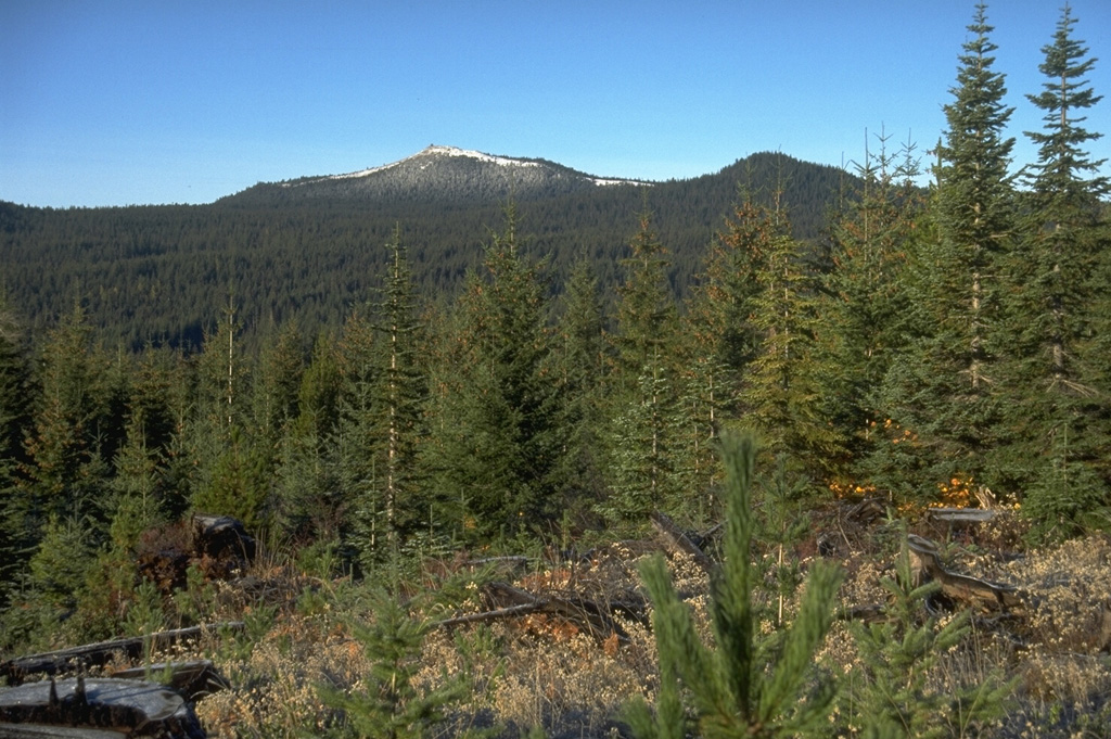 Red Mountain, seen here from the NE, is the southernmost of a N-S line of small shield volcanoes with smaller cones that form the Pleistocene-to-Holocene Indian Heaven volcanic field in the southern Cascades of Washington. The field covers 600 km2. Photo by Lee Siebert, 1995 (Smithsonian Institution).