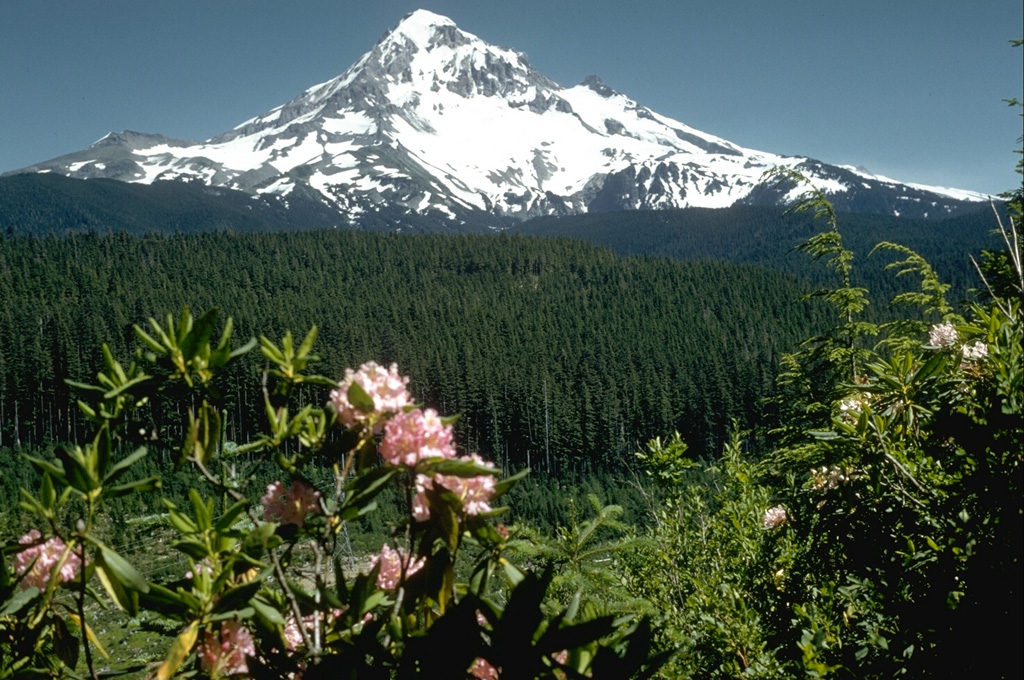 Mount Hood, one of Oregon's highest peaks, rises above the Lolo Pass area on its NW side. Hood is a prominent landmark on both sides of the Columbia River. The summit of the glacially eroded volcano contains several lava domes. At least four major eruptive periods have occurred during the past 15,000 years, including in the late 1700s. Minor 19th century eruptions were witnessed from the city of Portland. Photo by Richard Fiske (Smithsonian Institution).