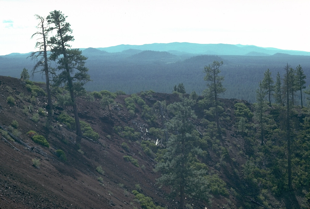 The crater rim of Lava Butte scoria cone on the NW flank provides a view of the broad Newberry shield volcano. Many other NW flank cones and associated lava flows erupted about the same time as the Lava Butte cone and lava flow. Over the past 7,700 years Newberry has erupted both mafic and silicic lavas from flank vents and within the caldera, respectively. Photo by Lee Siebert, 1981 (Smithsonian Institution).