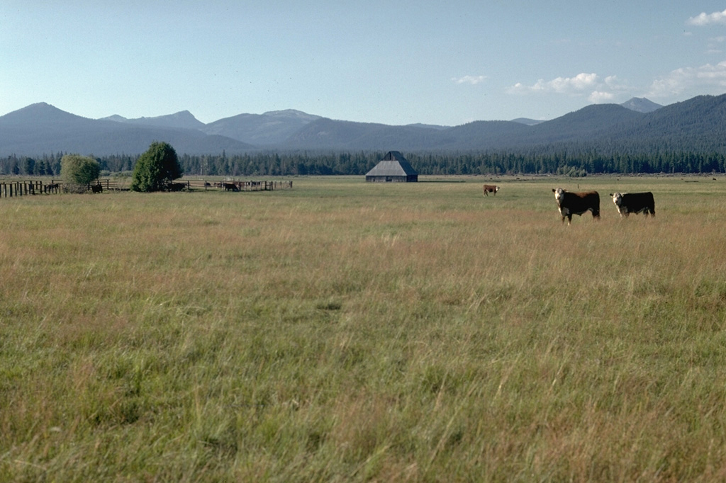 This ridge rising above pastures of the Klamath River valley is the rim of Crater Lake caldera in the Cascade Range. Formation of the caldera about 7,700 years ago removed the top of what was then Mount Mazama. The southern caldera rim is located at the point above the two larger trees at the left side of the photo. Mount Scott, an older volcano located east of the caldera rim, forms the small distant peak to the far right. Photo by Lee Siebert, 1982 (Smithsonian Institution).