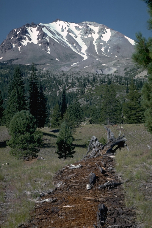 The tree stump and strip of red bark fragments in the foreground are the remnants of one of the many trees blown down radially away from the volcano by a pyroclastic surge on May 22, 1915, during the paroxysmal phase of the 1914-1917 eruption of Lassen Peak.  The Devastated Area in the background remained sparsely vegetated for many decades following the eruption. Photo by Lee Siebert, 1982 (Smithsonian Institution).