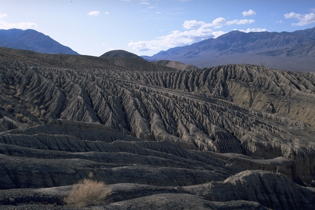 Erosional gullies furrow the surface of pyroclastic-surge deposits from the eruptions forming Ubehebe craters in Death Valley, California.  The craters were erupted along a fault that forms the western boundary of the Tin Mountain range in the left background. Photo by Lee Siebert (Smithsonian Institution).