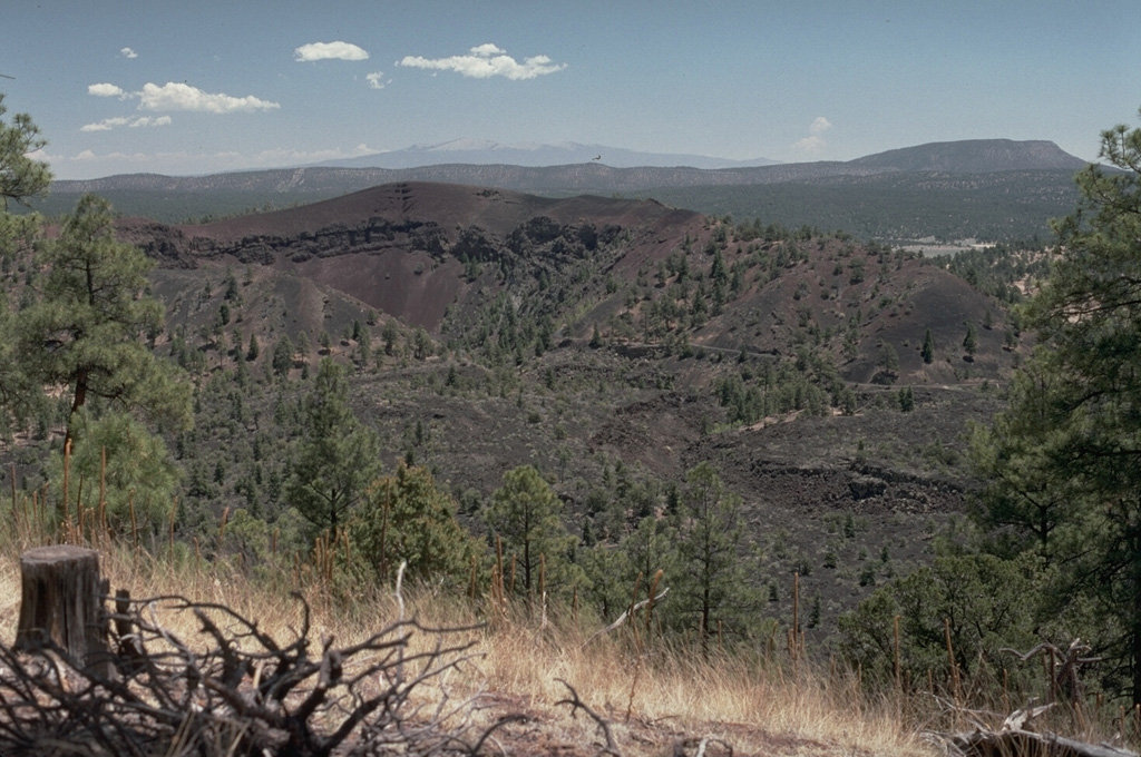 Bandera Crater in the center is part of the Zuni-Bandera lava field that covers a 2460 km2 area of central New Mexico.  The lava field contains 74 vents that erupted voluminous lava flows, including the 90-km-long Fence Lake flow and the youngest flow of the lava field, the 3000-year-old McCartys lava flow.  The McCartys flow traveled 60 km to the north, extending to the base of the Mount Taylor range, the peak in the distance. Photo by Lee Siebert, 1987 (Smithsonian Institution).