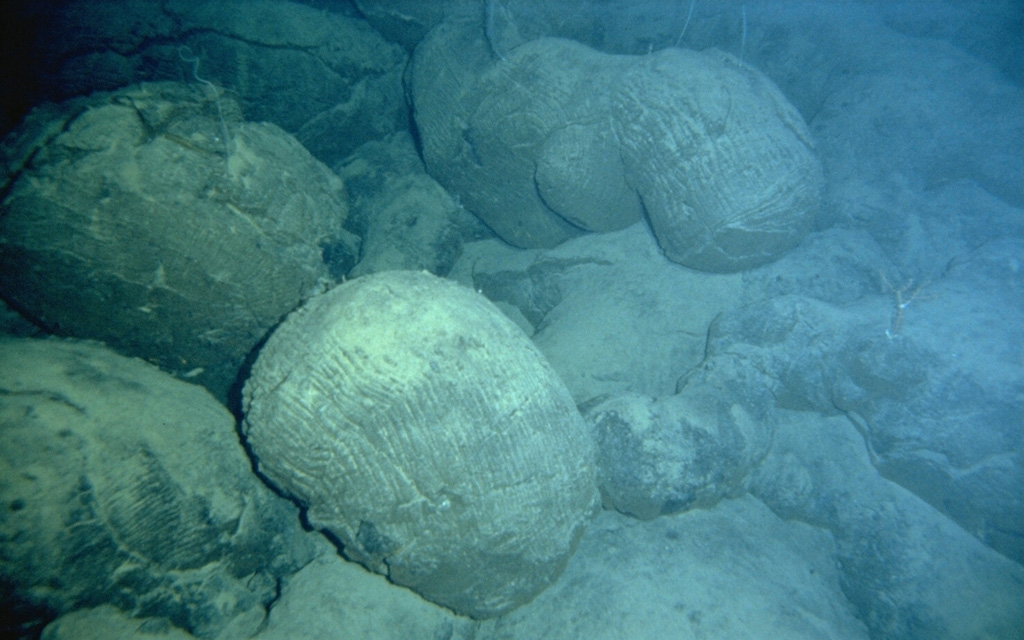 Submarine extrusion of lava produces a characteristic "pillow lava" morphology, as seen here on Loihi seamount SE of the island of Hawaii. Thin streams of molten lava are extruded in a form that resembles toothpaste squeezed out of a tube. The outer surface of the lava is quickly chilled by the water and solidifies, while the interior remains molten and continues to flow, lengthening the tubes.  Photo by the Hawaii Undersea Research Laboratory (University of Hawaii).