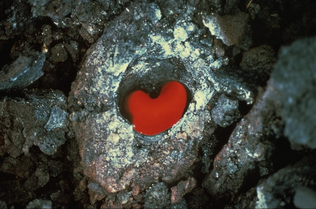 This heart-shaped tree mold was produced during an eruption along the East Rift Zone that began on 7 October 1968. Molten lava solidified around the tree, which eventually burned away, leaving the mold with incandescence from the hot rock below. Photo by Don Swanson, 1968 (U.S. Geological Survey).