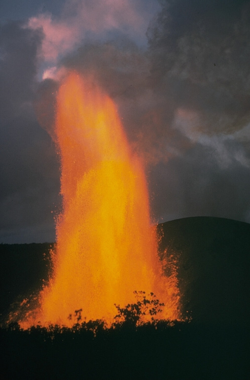 A powerful lava fountain towers above Kilauea Iki on 11 December 1959. Lava fountains reached heights up to 580 m on the 17th, the tallest recorded from any Hawaiian volcano at the time. The temperature at the core of the fountain sometimes reached 1,200°C, another record in Hawaii for the highest temperature of erupting lavas at the time. Ejecta built a conical spatter cone around the vent. Photo by Jerry Eaton, 1959 (U.S. Geological Survey).