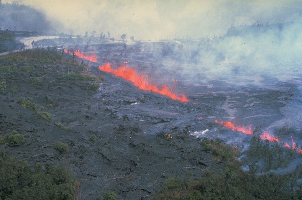 Fire fountains along fissures near the Pauahi Crater parking lot on the upper East Rift Zone on 16 November 1979. The eruption ended the following day, after producing lava flows across the Chain of Craters Road and moving about 500 m downslope west of the road into Pauahi Crater. Photo by Bob Decker, 1979 (U.S. Geological Survey).