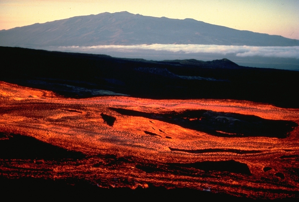 Broad streams of incandescent lava travel down the NE rift zone of Mauna Loa volcano early in the morning of March 25, 1984, with Mauna Kea volcano in the background to the north.  The eruptive fissure initially opened in the summit caldera and SW rift zone, but soon migrated down the NE rift zone, where activity continued until the eruption ended on April 15.  Lava flows from the NE rift zone traveled down the NE and SE flanks, reaching to within about 5 km of the city limits of Hilo. Copyrighted photo by Katia and Maurice Krafft, 1984.