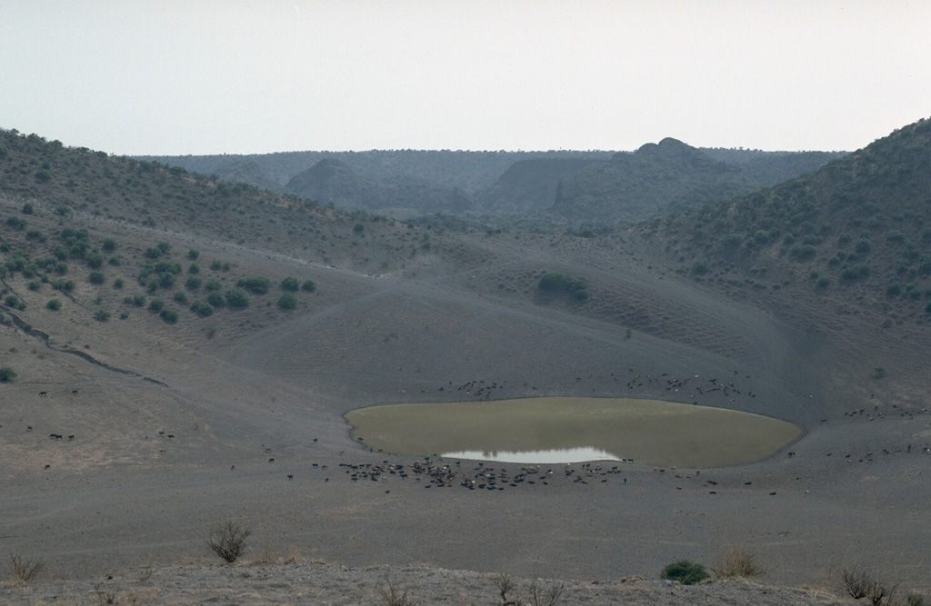 The bottom of El Jagüey maar is occupied by a small lake which marks the level of the groundwater table that lies about 60 m below the top of the surrounding lava plain and serves as a critical regional water hole for cattle (foreground). Explosions occurred when rising magma encountered this aquifer and produced the intersecting La Breña-El Jagüey maars. The NW rim of the 1,400-m-wide La Breña maar forms the horizon beyond the saddle between La Breña and the 700-m-wide El Jagüey maar. Photo by Jim Luhr, 1988 (Smithsonian Institution).