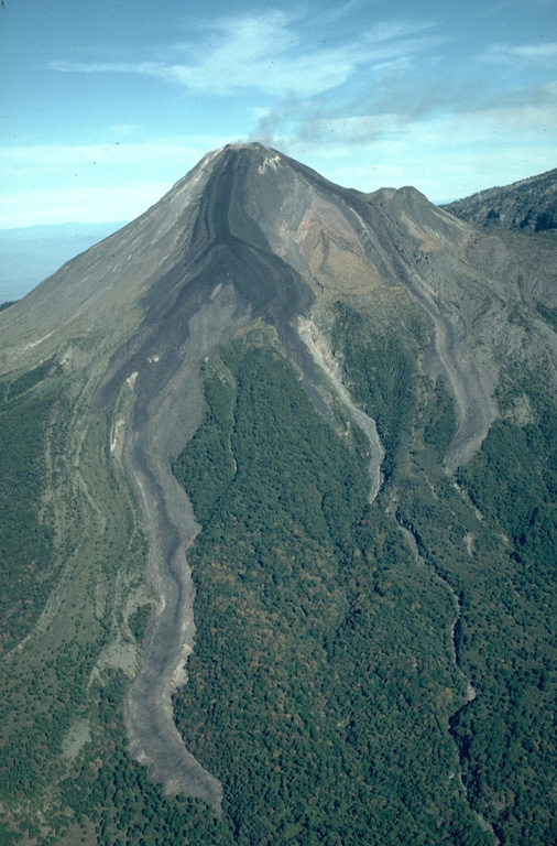 During an eruption from December 1975 to June 1976 lava flows from the Colima summit lava dome descended the E and SE flanks. The SE flow (left) split into two lobes, the longest of which traveled 3.5 km. Another flow traveled initially to the NE before diverting around El Volcancito, the smaller cone on the right horizon, and descended the E flank. All three lobes cross the upper-vegetation line that marks the location of the caldera wall that has been largely buried. Photo by James Allan, 1981 (Smithsonian Institution).