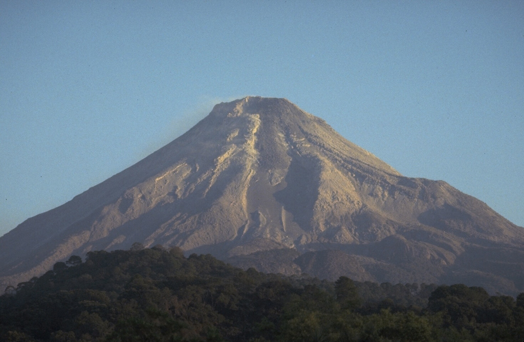 A lava flow travels down the upper flank of Colima in this 20 January 1982 view from the south. The dark-colored flow can be seen descending from the dome down the center. A period of lava dome growth with intermittent small explosions and block-and-ash flows had begun in December 1977. Renewed lava extrusion had begun on 9 December 1980. Photo by Jim Luhr, 1982 (Smithsonian Institution).