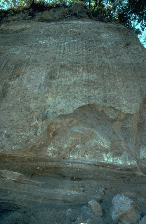 The bedded deposits at the base of this outcrop on the SW flank of Colima near the village of San Antonio are pyroclastic flow and pyroclastic surge deposits from an eruption that was radiocarbon dated to about 4,300 years ago. The thick deposit forming the majority of the outcrop is a debris avalanche deposit produced by collapse of the volcano. Erosion at the base of this deposit has exposed its mottled internal texture, reflecting various lithologic units that were transported without being mixed together. Photo by Jim Luhr, 1983 (Smithsonian Institution).