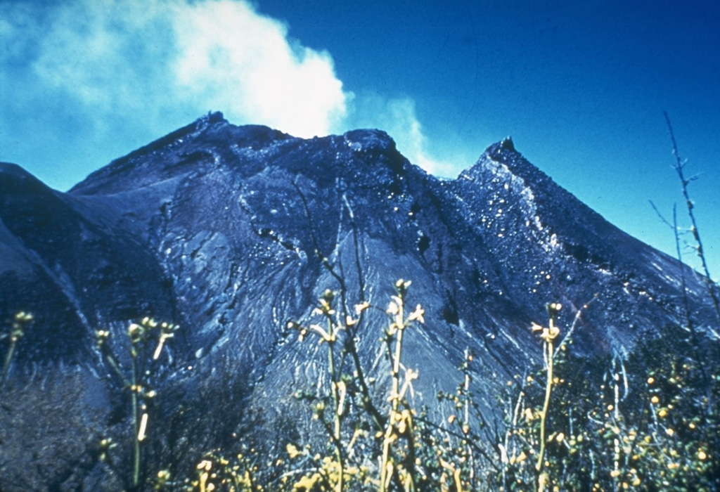 A gas plume rises above a growing lava dome below the crater rim of Colima in May 1958. The dome, which had been at a level 50 m below the deep notch in the northern crater rim (right) for several decades, had begun growing in May 1957 and eventually filled the crater. In 1961 lava began overflowing the crater through this notch. The photo was taken from the NE, with the NE-flank El Volcancito lava dome to the far left. Photo by José Suarez Joramillo, 1958 (courtesy of Julian Flores, University of Guadalajara).