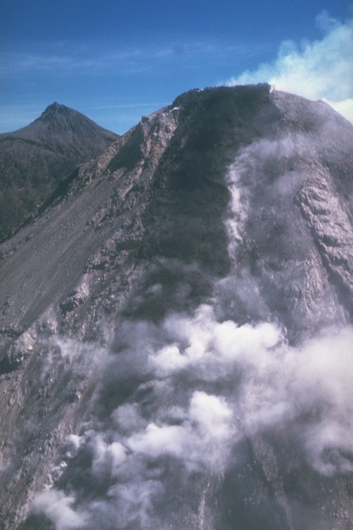 A lava flow advances down the steep upper SW flank of Colima in 1991. Aerial observations revealed lateral levees, pressure ridges near the flow front, and a lava channel within which most of the flow was advancing. The flow was about 100 m wide, 30 m thick, and 300 m long at the time of this 20 April 1991 photograph. Renewed lava extrusion took place following the partial collapse of the summit dome on 16 April. Nevado de Colima is in the background. Photo by Juan Manuel Espíndola, 1991 (Universidad Nacional Autónoma de México).