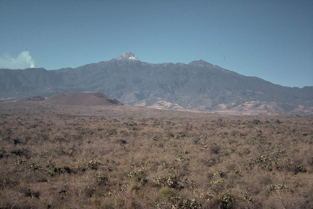 A group of nearly a dozen scoria cones and lava flows were erupted during the late Pleistocene on the floor of the southern Colima graben immediately NE and NW of the Colima volcanic complex. Cerro Apaxtepec (left center), one of these young cones, is seen here with the peak of Nevado de Colima in the center-background. A small plume rises from the active Fuego de Colima volcano to the left.  Photo by Jim Luhr, 1978 (Smithsonian Institution).