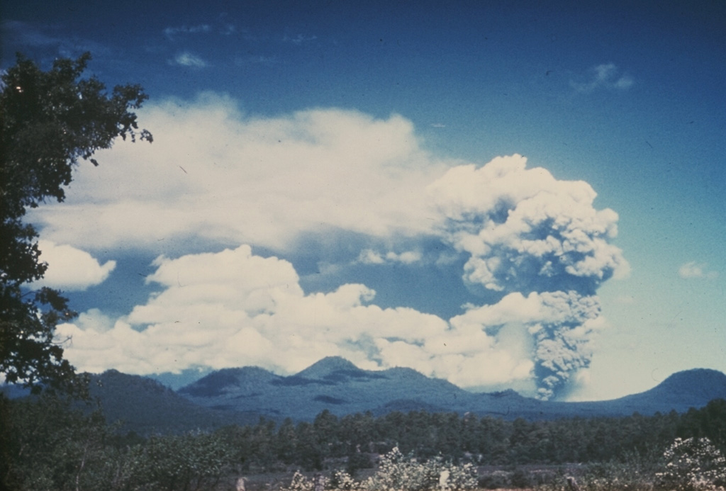 This photo shows an ash plume rising above Parícutin on 9 June 1943, seen here from the Uruapan highway to the east. Prevailing winds distribute the ash plume to the south. Other scoria cones appear on the horizon, some of the 1,000-plus scoria cones within the massive Michoacán-Guanajuato volcanic field. Photo by William Foshag, 1943 (Smithsonian Institution).