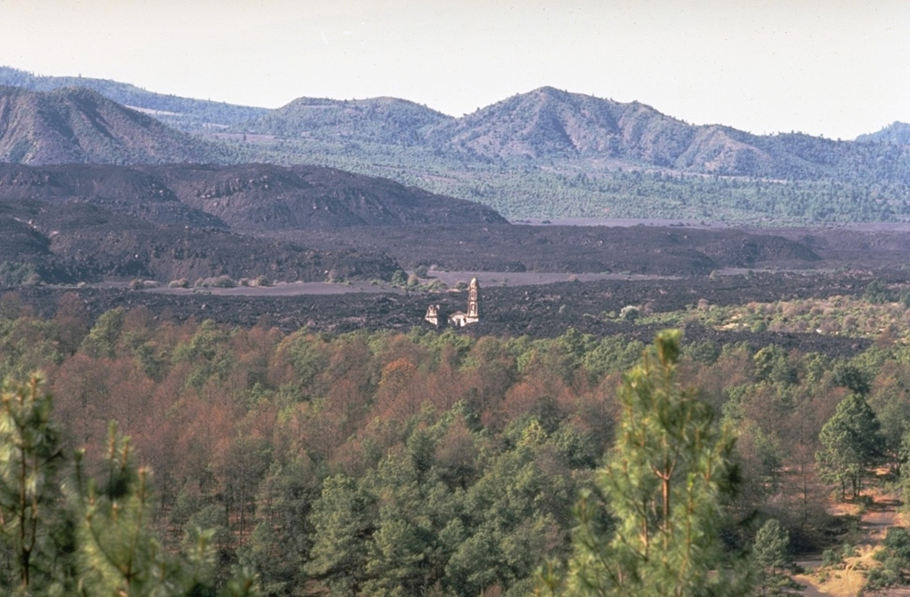 The steeple of the church of San Juan Parangaricutiro rises above surrounding lava fields in the center of the photo, seen here from the NE. The still-unfinished church was inundated by lava in July 1944, a month after flows began advancing into the town. The unvegetated, steeper-sided lava flows in the background were erupted later during 1944-46. Photo by Jim Luhr, 1982 (Smithsonian Institution).