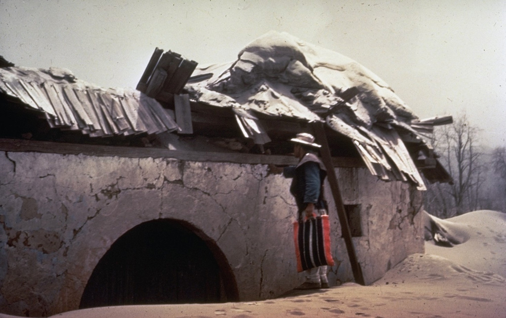 A villager inspects the roof of a house in the village of Parícutin that was destroyed by heavy ashfall in the first year of the eruption. The village that the volcano was named after was located only 3 km NW of the new cone. Ashfall was particularly intense during the eruption's second to fifth months, and the town's 733 residents were forced to evacuate four months after the eruption began. The Mexican government provided new lands in Caltzontzín, 27 km to the SE. Photo by Frederick Pough, 1943 (American Museum of Natural History).