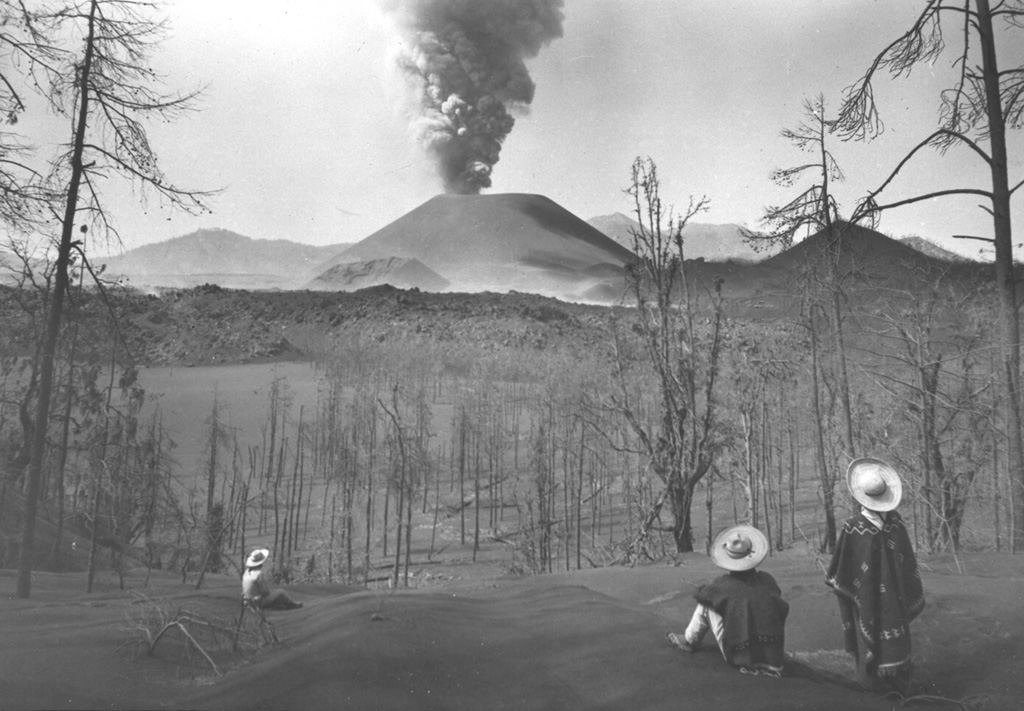Local Tarascan residents observe Parícutin volcano from Cerro de Equijuata, 2.5 km to the NNE, in March 1944. In this photo taken a little more than a year after the eruption began the Sapichu cone appears at the NE (left-hand) base of Parícutin. The rugged lava flows of June 1943 are visible in the middle of the photo. Heavy ashfall has defoliated trees and a thick ash deposit mantles the landscape. Photo by Arno Brehme, 1944 (U.S. National Archives, published in Foshag and Gonzáles-Reyna, 1956).
