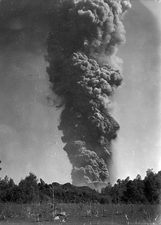 An ash plume towers 6 km above Parícutin on 24 March 1943, a little more than a month after the start of the eruption. The photo was taken from 3 km N in Tititzu and shows the advancing front of the Mesa del Corral lava flow in the middle ground, with the rim of the scoria cone behind it. Photo by William Foshag, 1943 (Smithsonian Institution, published in Foshag and Gonzáles-Reyna, 1956).