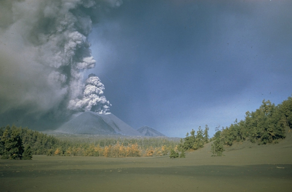 An ash plume rises from the summit crater of Parícutin sometime during 1946-48. A thick ash deposit covers the foreground. An estimated 4,500 cattle and 550 horses died during the heavy ashfall in the early months of the eruption, devastating the local people who depended on the animals for food, plowing, and transportation. Ashfall was deeper than 15 cm over a 300 km2 area around the volcano and continued with varying intensity throughout the 9-year-long eruption. Photo by Ray Wilcox (U.S. Geological Survey).