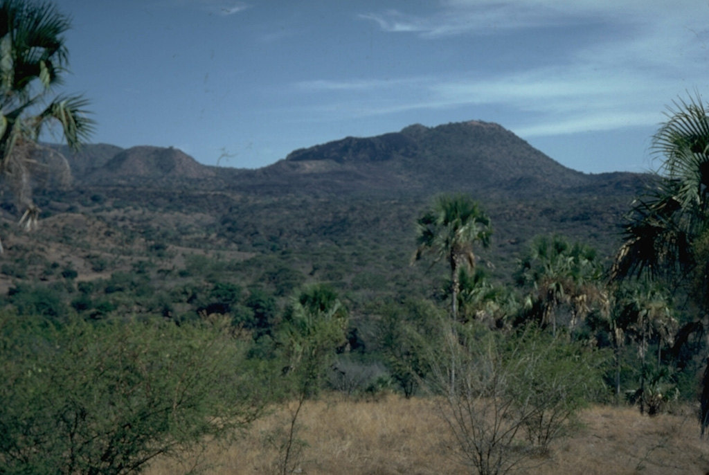The Jorullo cone eruption began in 1759 in the Michoacán-Guanajuato Volcanic Field. In this view from the NW the unvegetated area visible on the center-horizon is the final lobe that flowed north. Volcán del Norte, one of Jorullo's four flank cones visible on the left horizon, produced a lava flow towards the west during the middle stages of the 1759-74 eruption. Photo by Jim Luhr, 1996 (Smithsonian Institution).