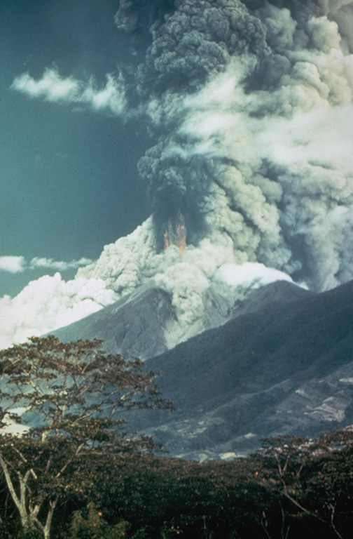 A large ash plume towers above Fuego in October 1974 as pyroclastic flows sweep down the SE (left) and NE flanks (center). Incandescent ejecta can be seen at the base of the ash plume. Prevailing winds distributed ashfall primarily to the SW. More than 0.2 km3 of ash was erupted during four distinct explosive pulses of 4 to 17 hours duration between 14 and 23 October. Photo by William Buell, 1974.