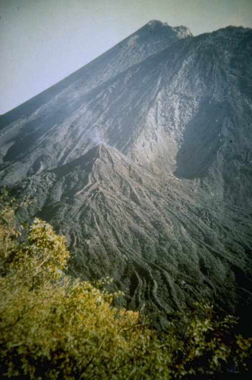 The cone in the center grew on the NE flank of MacKenney cone (background) during a long-term eruption that began in 1965. This small NE-flank vent was active from 5 August 1984 until 6 February 1985 and produced a 50-m-high cone that sent sinuous lava flows its flanks. Later eruptions buried most of the cone before it was destroyed by an explosion in 1995. This 1985 photo was taken by Alfredo MacKenney, the Guatemala City physician and volcano enthusiast for whom the cone was named. Photo by Alfredo MacKenney, 1985.