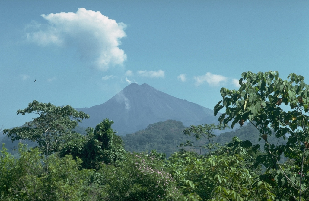 The flanks of Pacaya rise above foothills at the margin of the Pacific coastal plain of Guatemala. The summit is MacKenney cone, which was constructed within a collapse crater produced by the gravitational failure of an ancestral Pacaya edifice. The resulting debris avalanche traveled 25 km from the volcano to near the village of Las Chapernas on the coastal plain, beyond the point of this photo. Photo by Lee Siebert, 1988 (Smithsonian Institution).