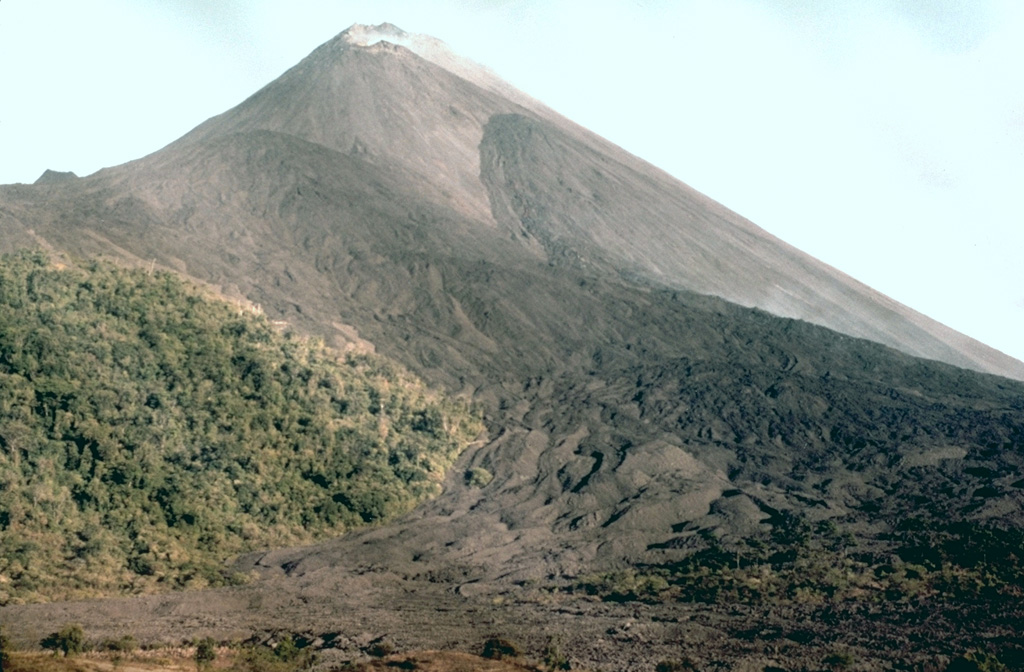 Recent lava flows cover the NW flank of Pacaya. Two prominent flow fields originating from flank vents can be seen in this 1987 photo. The vegetated slopes to the left are below Cerro Chino, a scoria cone on the rim of Pacaya's large horseshoe-shaped crater. Photo by Klaus Mehl, 1987 (GEOMAR, Germany).