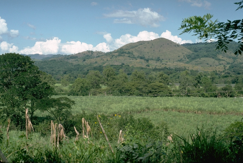 The Cuilapa-Barbarena volcanic field contains approximately 70 Quaternary scoria cones, generally less than 100 m high. Many of the cones are located along the Jalpatagua fault, which extends SE from Guatemala City, north of the chain of volcanoes extending across Guatemala. The youngest cones were estimated to be of Holocene age, perhaps less than 1,000 years old. Photo by Lee Siebert (Smithsonian Institution).