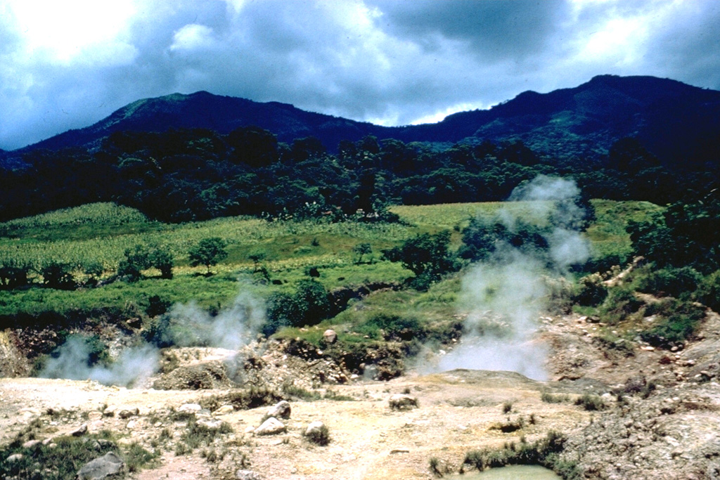 The Ahuachapán geothermal area on the NW flank of Laguna Verde has been used for power generation since 1975. It is one of the most recent manifestations of activity in a group of Pleistocene and Holocene volcanoes comprising the Cuyanausul Range. The Cerro El Aguila and Cerro Los Naranjos volcanoes at the eastern end are Holocene in age. A 1990 steam explosion from the Ahuachapán thermal area resulted in fatalities. Photo by Dick Stoiber, 1962 (Dartmouth College).