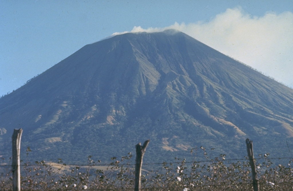 The less-often seen gullied northern flanks of San Cristóbal volcano rise above cotton fields at its base.  San Cristóbal is a relatively recent name derived from a coffee plantation on its western flank; the volcano was previously known as El Viejo or Chinandega.  It was used as a lighthouse for navigation by the British buccaneer Dampier when he sailed into the Bay of Corinto in July 1684.  The following August he returned to the bay, but observed only smoking, rather than the "flames" he reported the previous year. Photo by Jaime Incer, 1975.