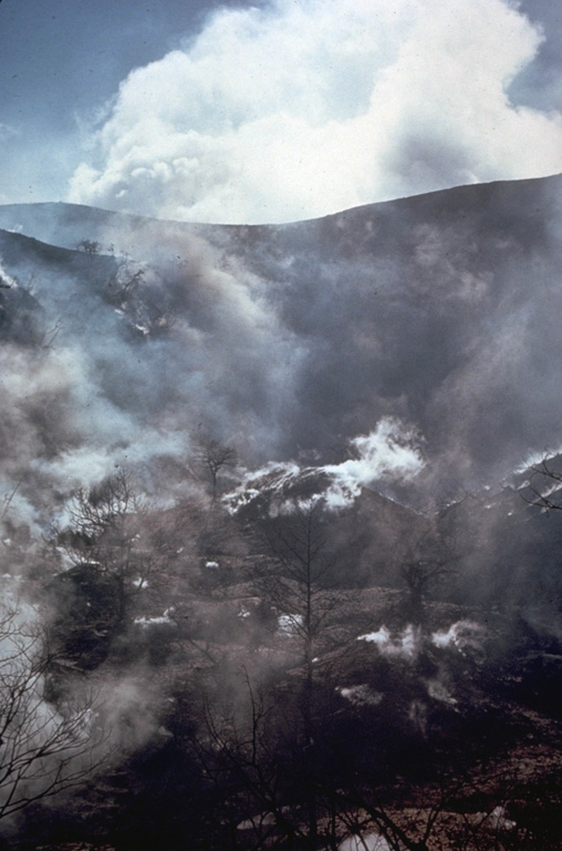Abundant fumaroles in the summit crater of San Cristóbal volcano emit steam in this November 1973 photo.  Trees in the foreground were killed by renewed fumarolic activity that began at San Cristóbal in May 1971 after a quiescence of about three centuries.  The billowing cloud in the background is an atmospheric cloud. Photo by Steve Swift, 1973 (courtesy of Dick Stoiber, Dartmouth College).