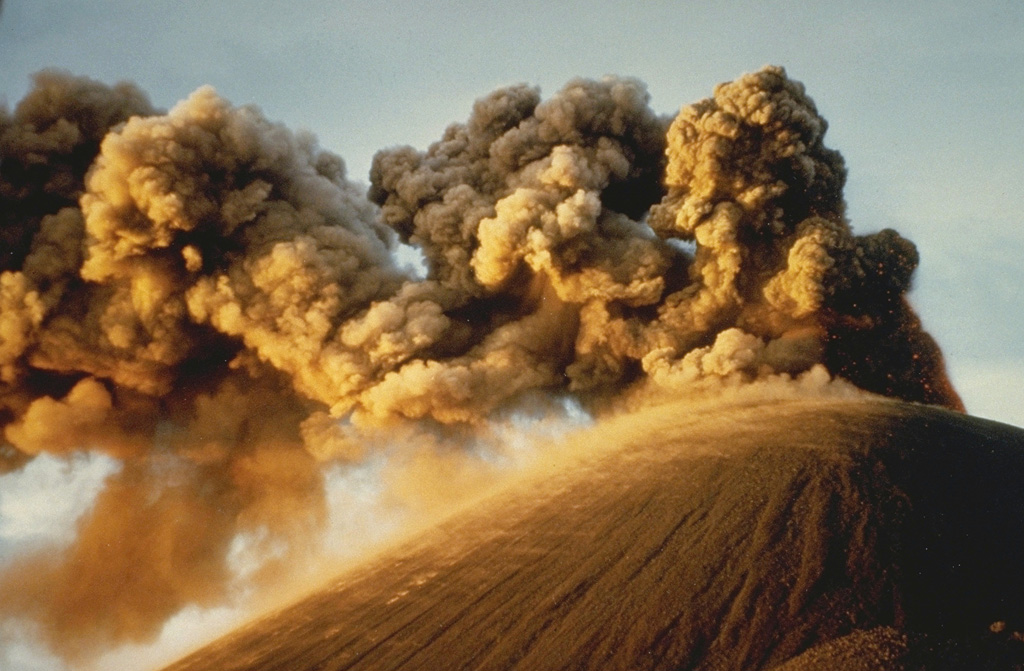 Strong winds deflect ash plumes from a strombolian eruption at the summit crater of Cerro Negro on November 8, 1968.  This photo was taken from the south about two weeks after an eruption that began with flank activity on the night of October 23.  The following day eruptions began from the summit crater.  Plumes rose 1000-1500 meters, and heavy ashfall distributed by winds primarily to the west damaged 700 km2 of croplands.  The eruption lasted until December 15. Photo by Dick Stoiber, 1968 (Dartmouth College).