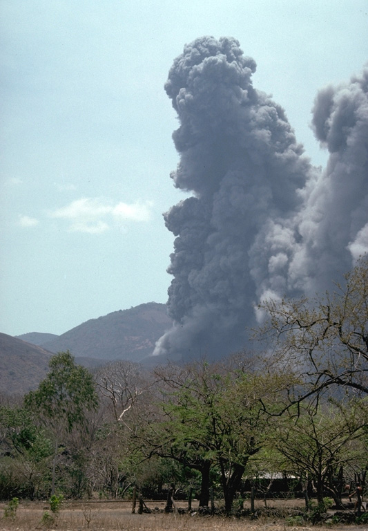 An ash-rich eruption plume rises above Cerro Negro volcano in April 1992.  Violent strombolian eruptions during 9-14 April produced heavy ashfall that caused extensive damage to buildings and croplands and forced the evacuation of 28,000 people.  Ash clouds reached heights of 7-7.5 km and were distributed to several hundred km distance.  The strong explosive eruption enlarged the summit crater to 370 m width. Photo by Chuck Connor, 1992 (Southwest Research Institute).