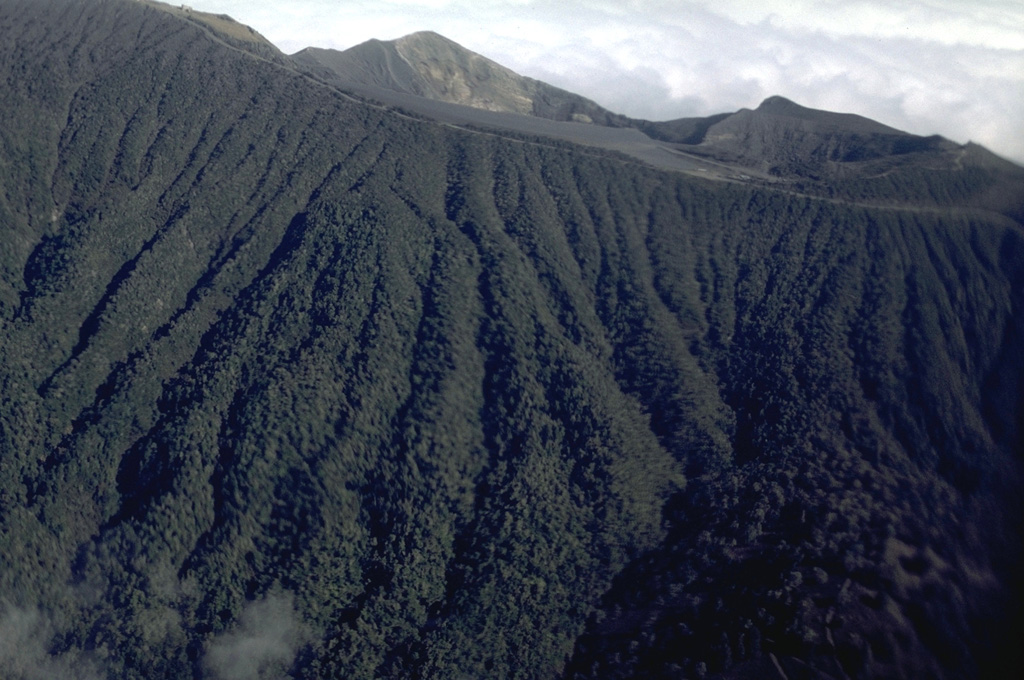 The upper southern flanks of Irazú contain abundant erosional gullies. The summit is just out of view at the upper right. The northern rim of the currently active summit crater is at the top of this photo, in the center. To the right is the northern rim of the older Diego de la Haya crater.  Photo by William Melson, 1986 (Smithsonian Institution).