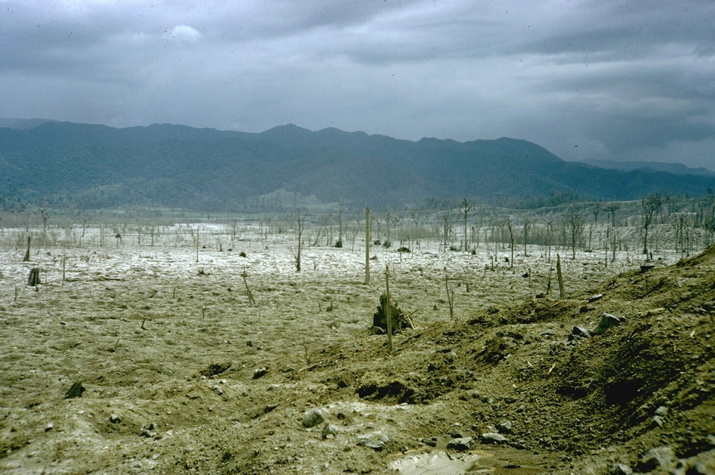 A series of powerful and deadly explosions on 29 July 1968 initiated a new eruptive period at Arenal volcano. This November 1968 photo shows the destruction to vegetation within a  broad, devastated area on the western flank. Ballistic ejecta stripped trees of leaves to distances as far as 5 km west of the summit. Photo by William Melson, 1968 (Smithsonian Institution)