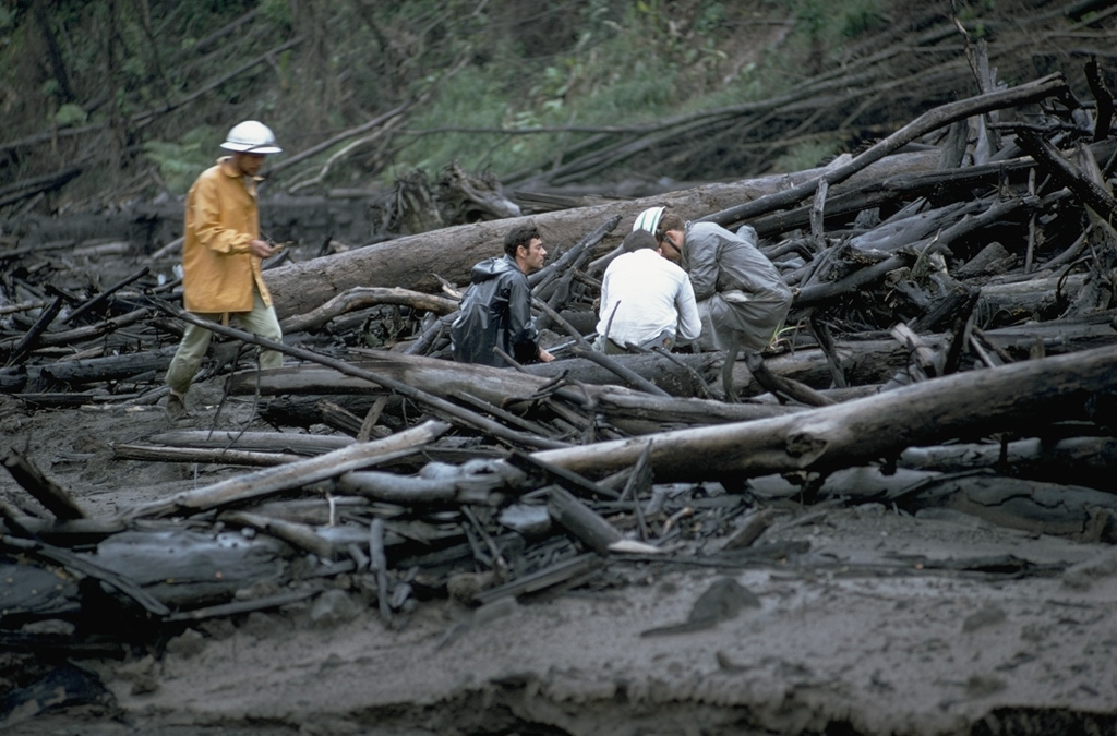 Geologists investigate trees within in a pyroclastic flow deposit along the Río Tabacón on the NW flank of Arenal in November 1968. The trees are aligned parallel to the rapid pyroclastic flow direction. Devastating pyroclastic flows traveled down existing drainages during 29-31 July 1968. One of the largest, with an estimated volume of 0.0018 km3, entered the Río Tabacón. The deposits ranged to more than 30 m thick, but were typically about 10 m. Fumaroles on their surface were active for more than two years. Photo by William Melson, 1968 (Smithsonian Institution).