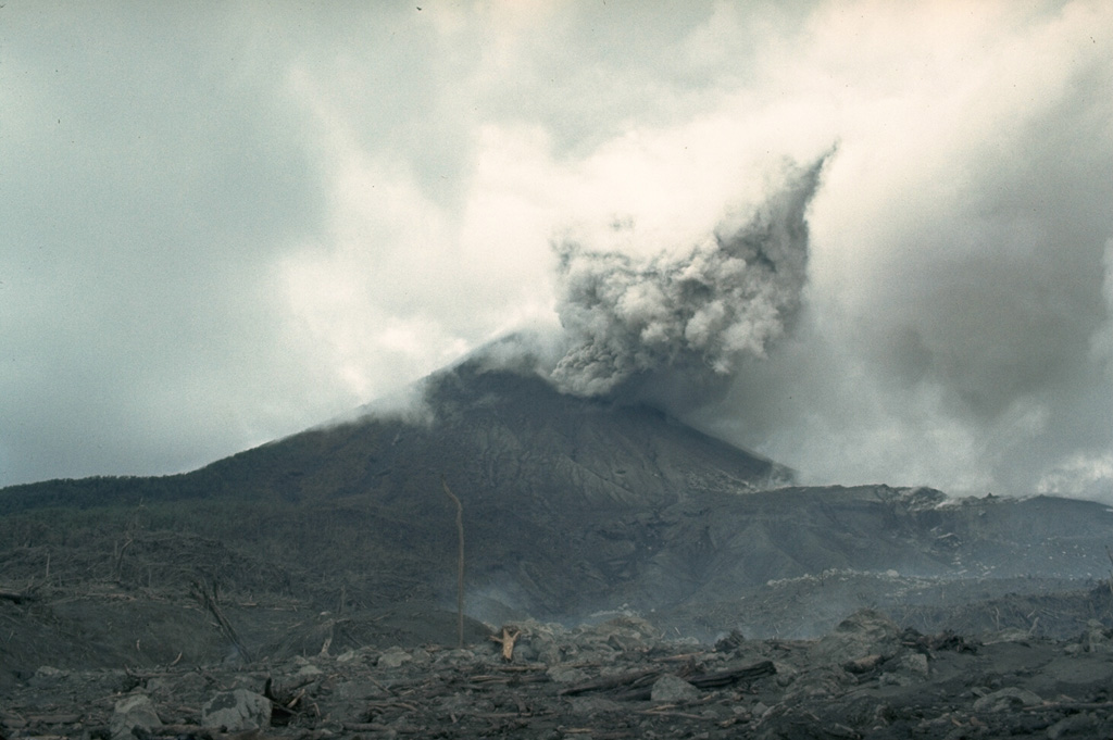 An eruption began at Arenal on 29 July 1968 with major explosions and pyroclastic flows that destroyed two towns and killed 78 people. Three new craters formed on the west flank. This 12 August 1968 view from the WNW flank shows an ash plume with part of the devastated zone in the foreground. Effusion of lava flows that began on 19 September formed an extensive lava field on the western flank. Photo by William Melson, 1968 (Smithsonian Institution)